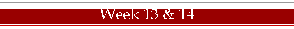Week 13 & 14