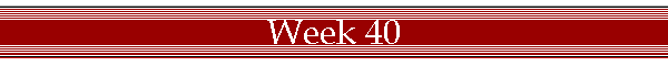 Week 40