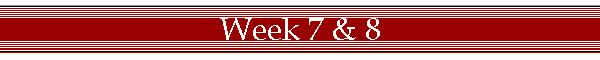 Week 7 & 8